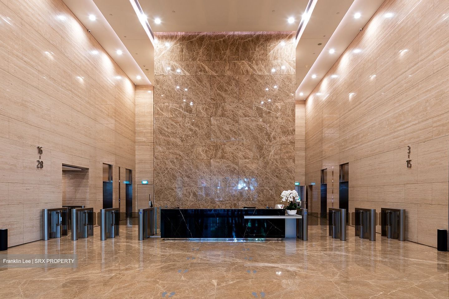 PLUS (D1), Office #453067661